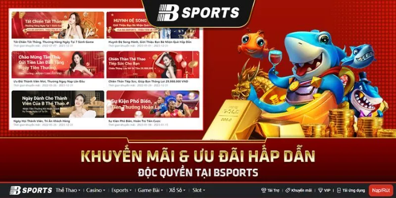 Nhà cái Bsport tổ chức nhiều chương trình khuyến mãi để thu hút người chơi