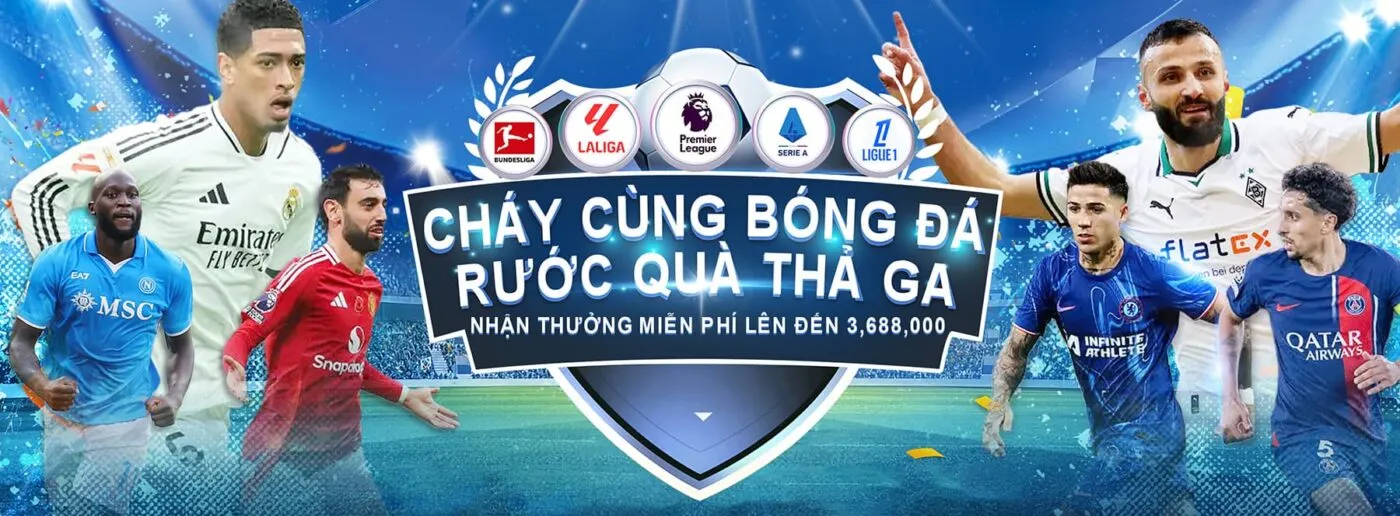 banner Bsport